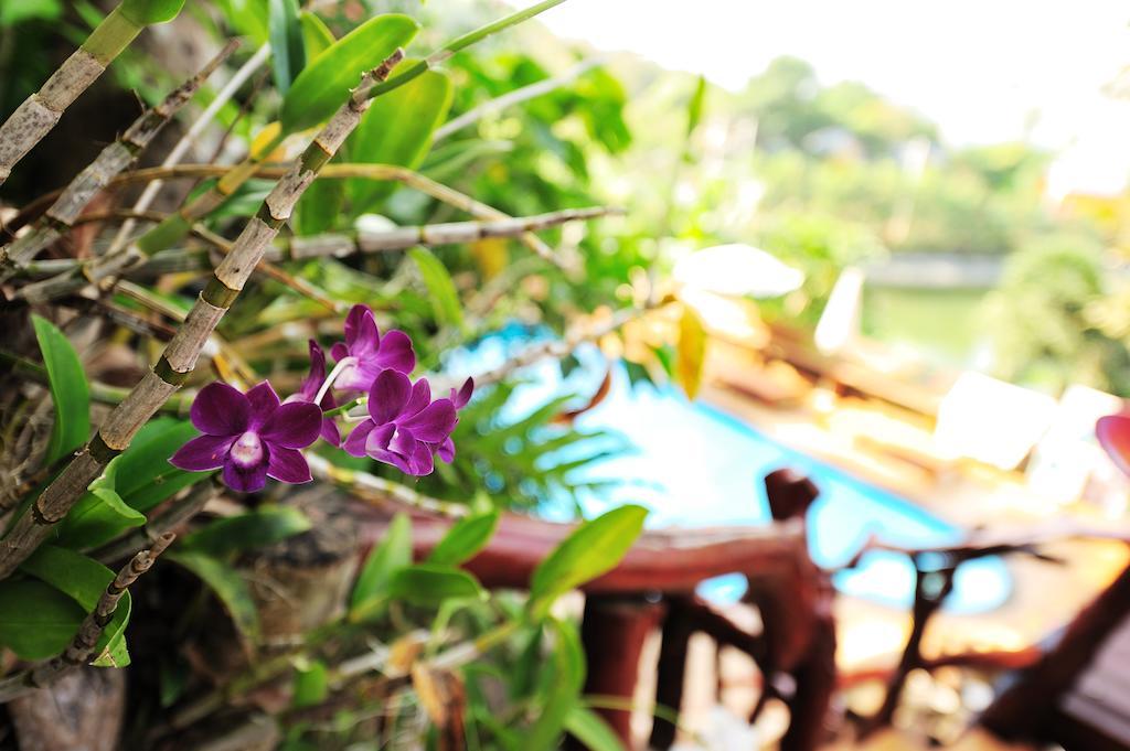 พีพีอิงภูวิวพอยท์ Hotel เกาะพีพี ภายนอก รูปภาพ